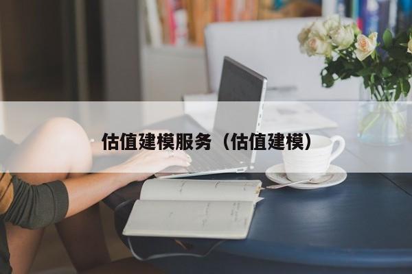 估值建模服务(估值建模)